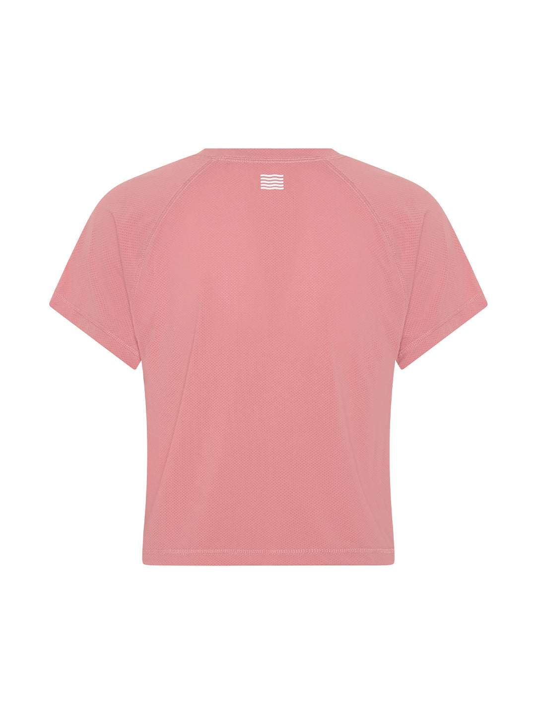 GLORY DAYS RAGLAN PERFORMANCE TEE - BLUSH