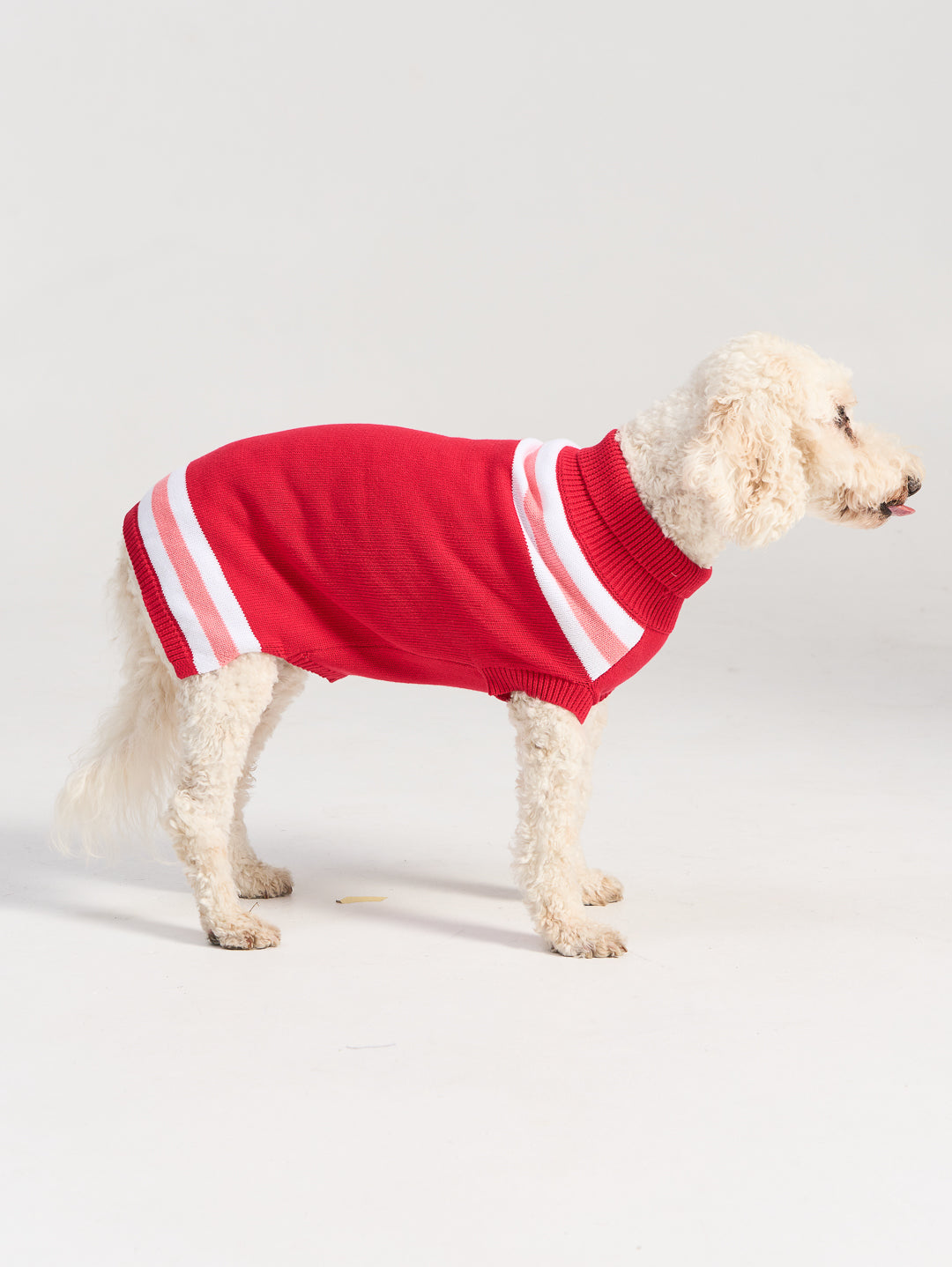 Victory Dog Sweater