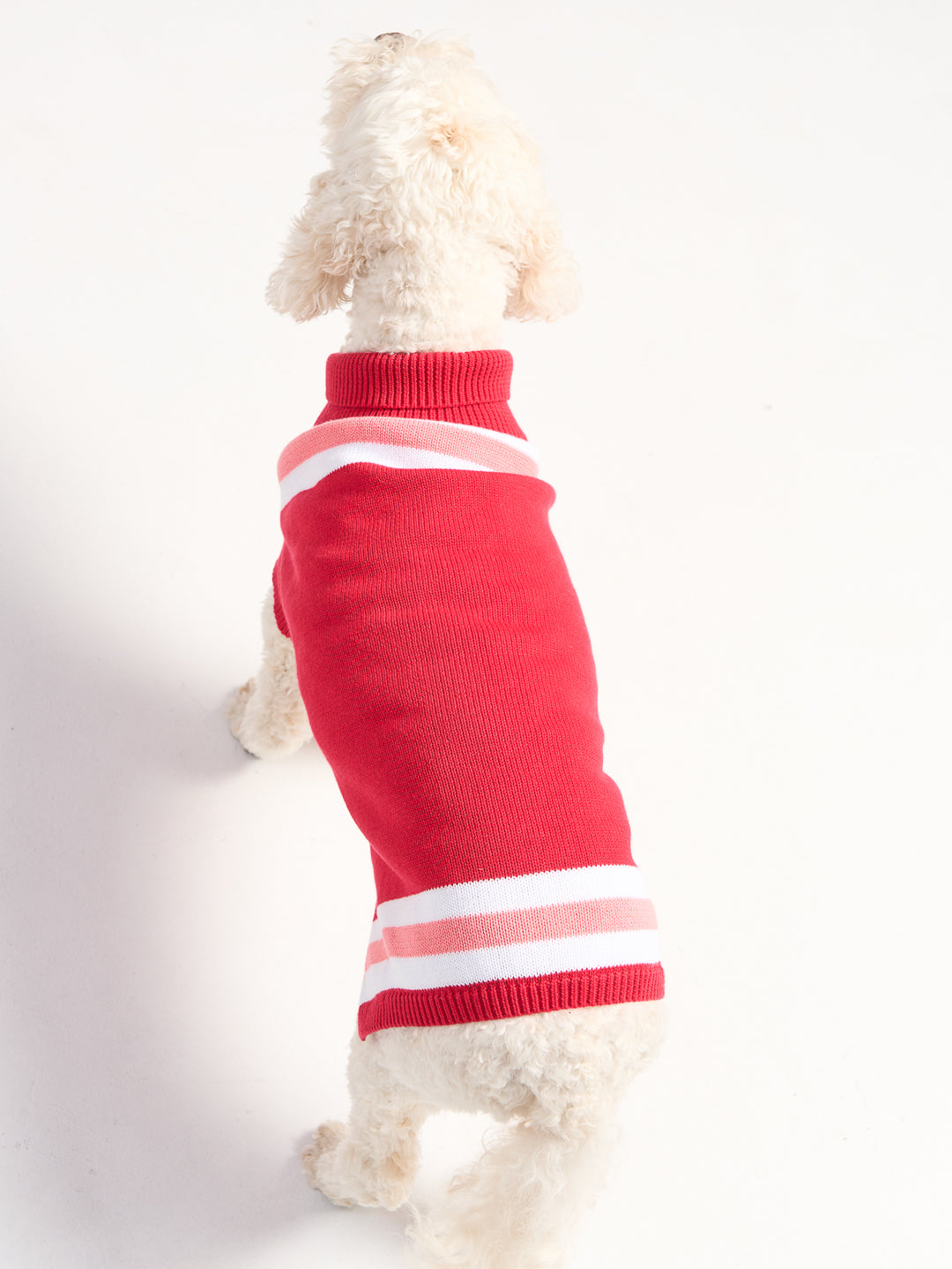Victory Dog Sweater
