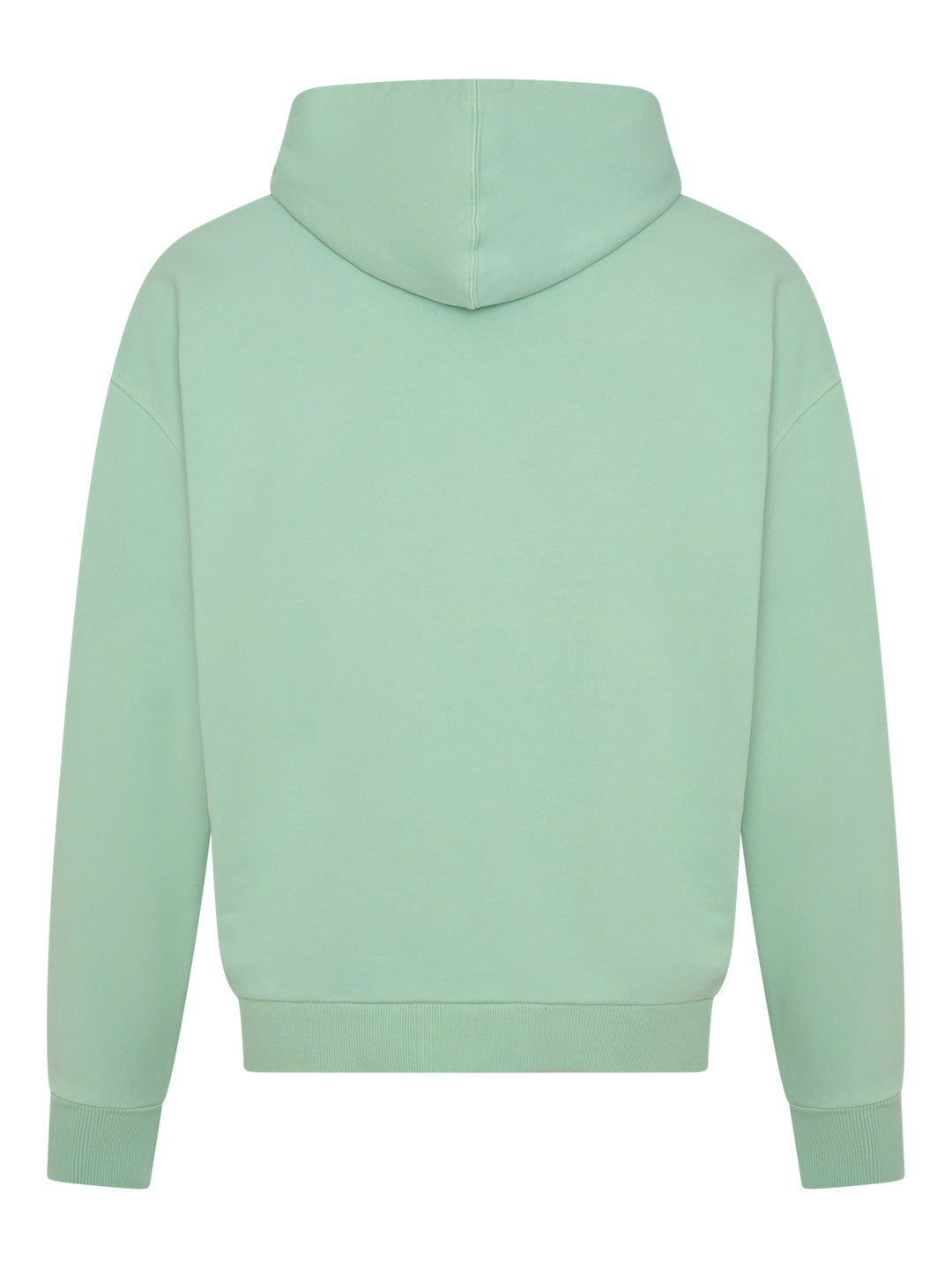 Speedway Logo Hoodie - Mint